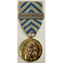 Médaille de Reconnaissance de la Nation + Agraphe "Opérations Extérieures"